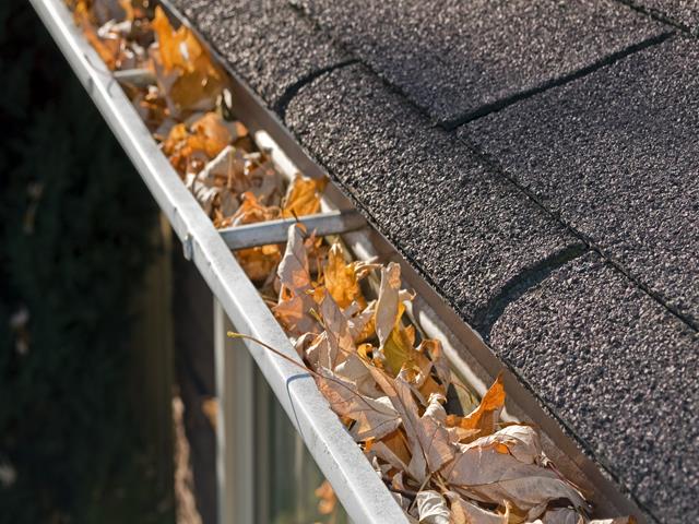 gutter full of leaves